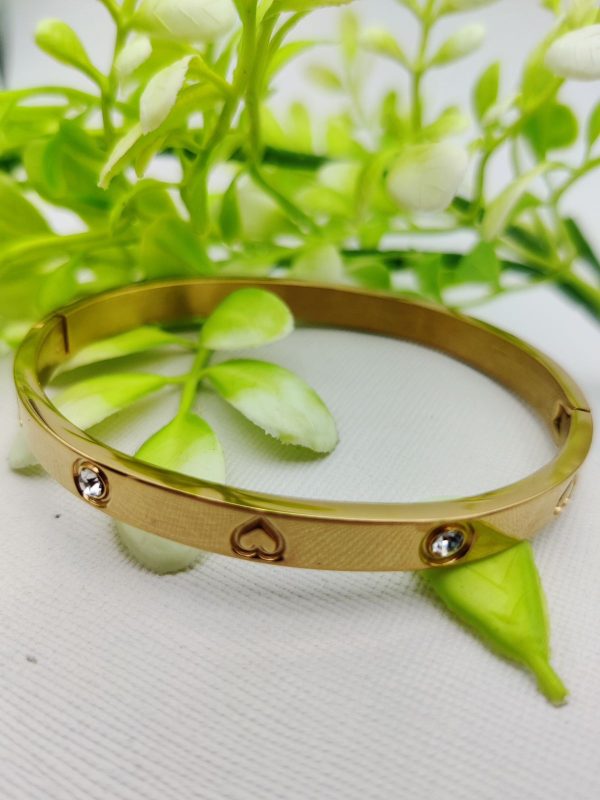 Adjustable Cartier Heart Charm Bracelet – Imported Luxury Bracelet | Best Quality
