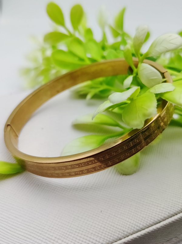 Adjustable Cartier Heart Charm Bracelet – Imported Luxury Gold Bracelet | Best Quality